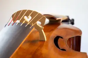 Piškotový Korpus